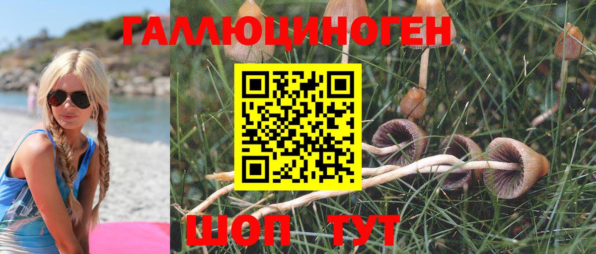 Коммунар  Псилоцибиновые грибы Magic Shrooms  Вход с VPN  Псилоцибиновые грибы Psilocybine cubensis 